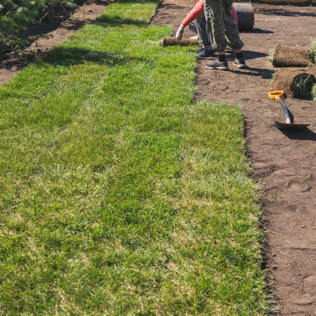 Sprinkler System Start Ups in Wichita Lawn Sprinkler Systems for Wichita