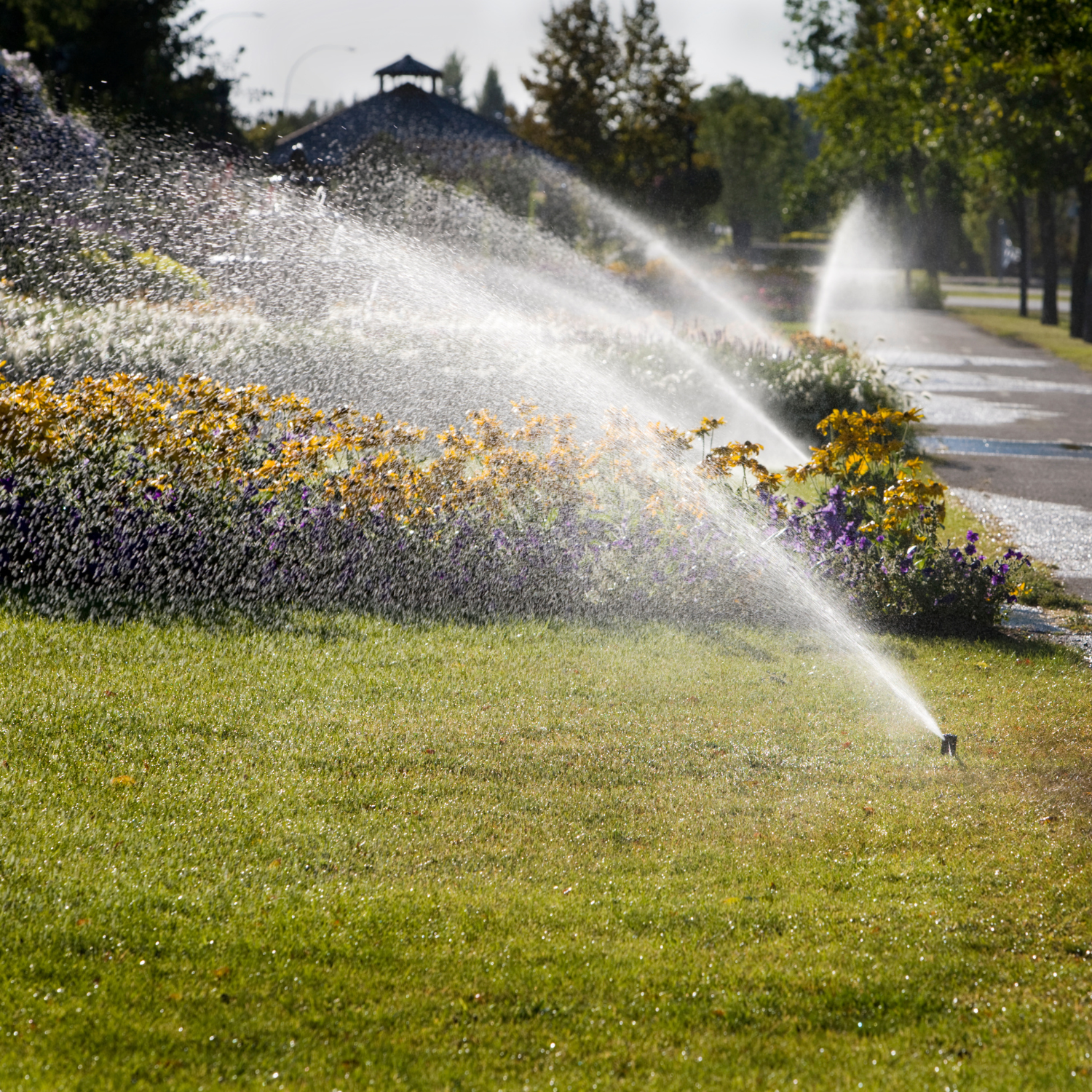 Lawn Sprinkler System Start Ups in Wichita Lawn Sprinkler System Start Ups in Wichita