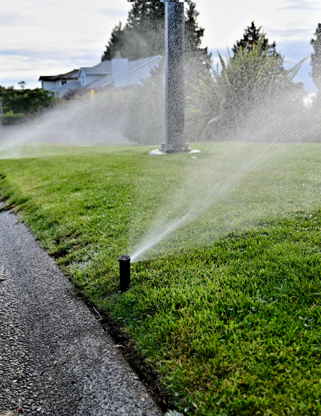 Lawn Sprinkler System Installation & Repairs for Wichita