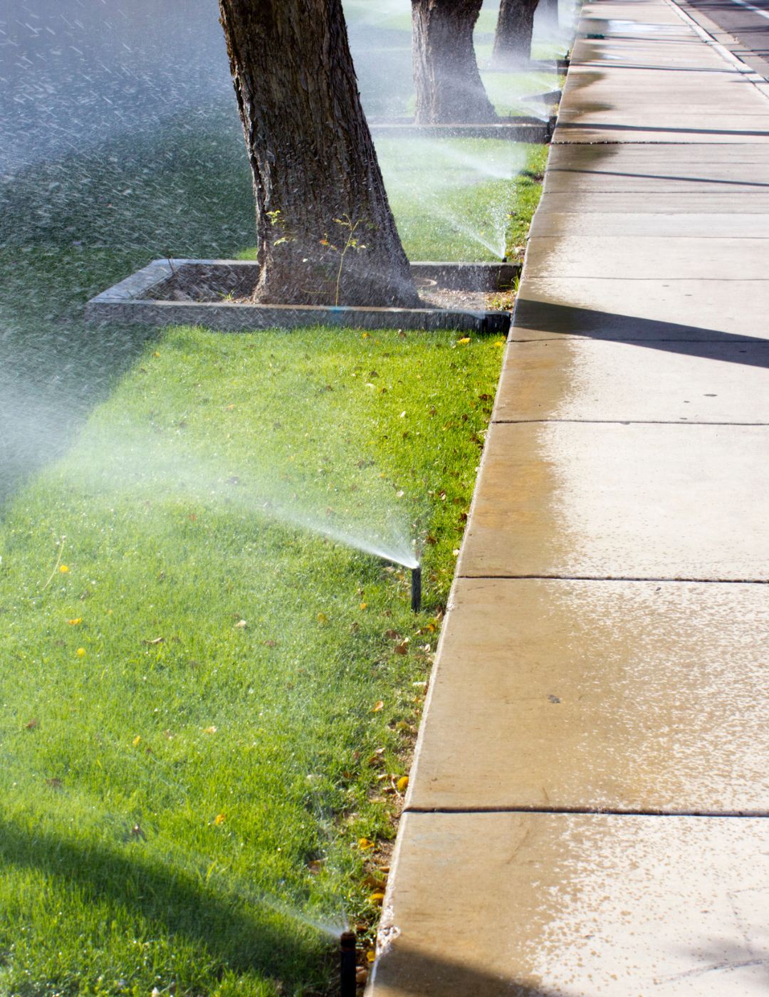 Professional Backflow Testing for Wichita Sprinkler Systems Professional Backflow Testing for Wichita Sprinkler Systems