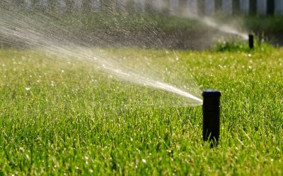 Expert Lawn Sprinkler System Installation and Repairs in Wichita